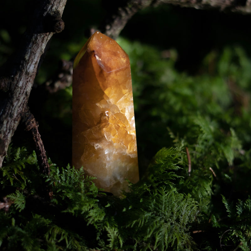 The 6 Best Crystals For Green Witches