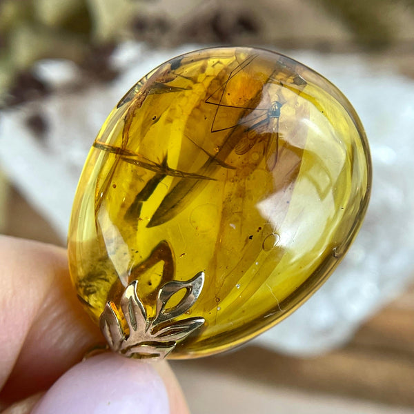 Baltic Amber with Insect Inclusion Gold Pendant – The Empress Wolf