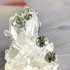 Green Amethyst Stud Earrings