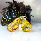 Certified Baltic Amber Jewelry