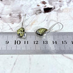 Amber Silver Drop Earrings