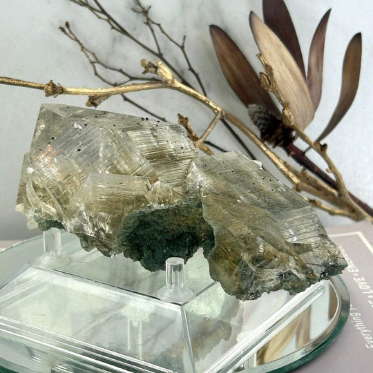 Lemurian Seed Garden Quartz with Golden Rutile Natural Crystal Point