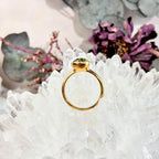 Contemporary Gold Amber Ring