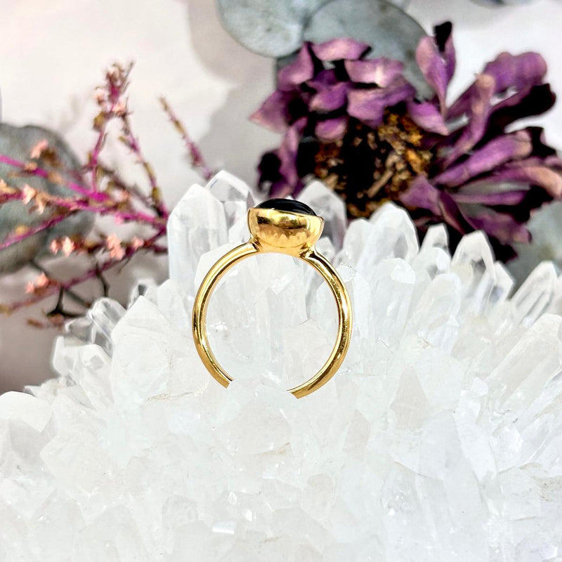 Baltic Assorted Amber Gold Plated Rings