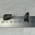 Golden Sheen Obsidian Earrings