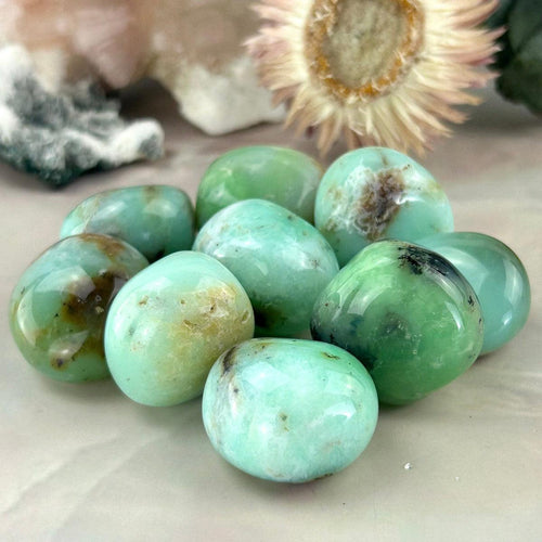 Chrysoprase Tumbled Stone