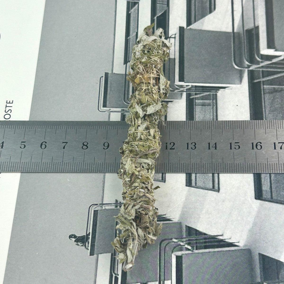 Mugwort Herbs