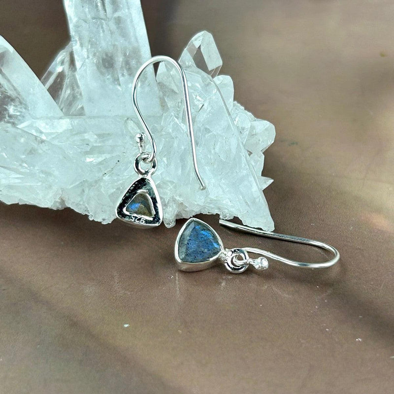 Trillion Cut Labradorite Earrings