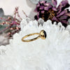 Baltic Assorted Amber Gold Plated Rings