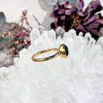Baltic Assorted Amber Gold Plated Rings