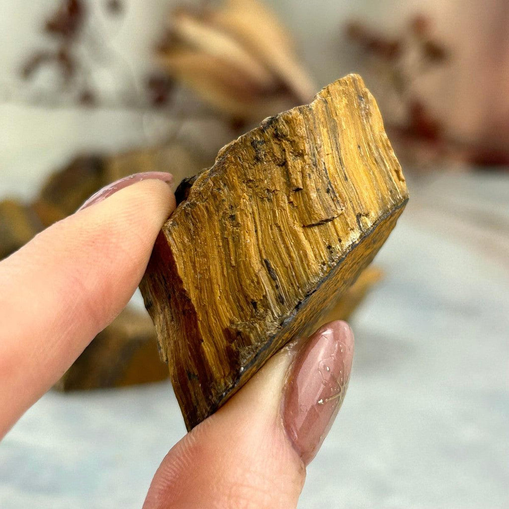 Rough Cut Golden Tiger's Eye
