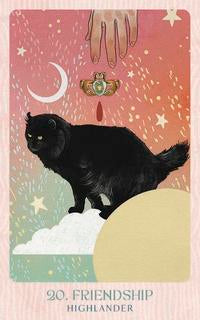 Ask The Feline Sages