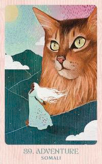 Ask The Feline Sages