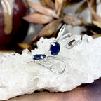 Classic Design Sapphire Earrings
