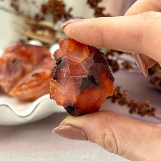 Carnelian Raw Pieces