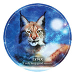 Creature Teacher, Oracle Cards For Kids