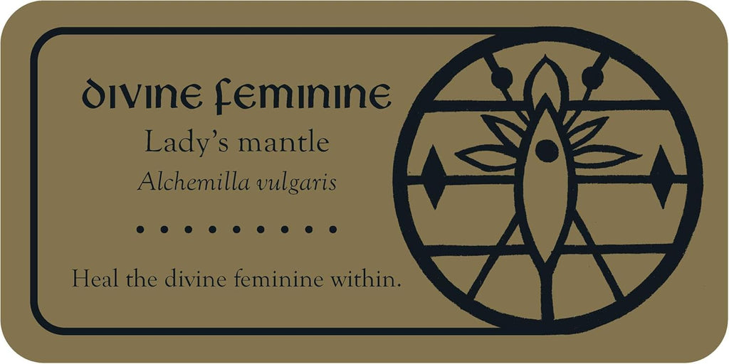 Medieval Herb Sigils Card Deck