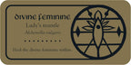 Medieval Herb Sigils Card Deck