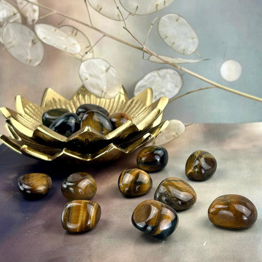 Tiger's Eye Tumbled Stones