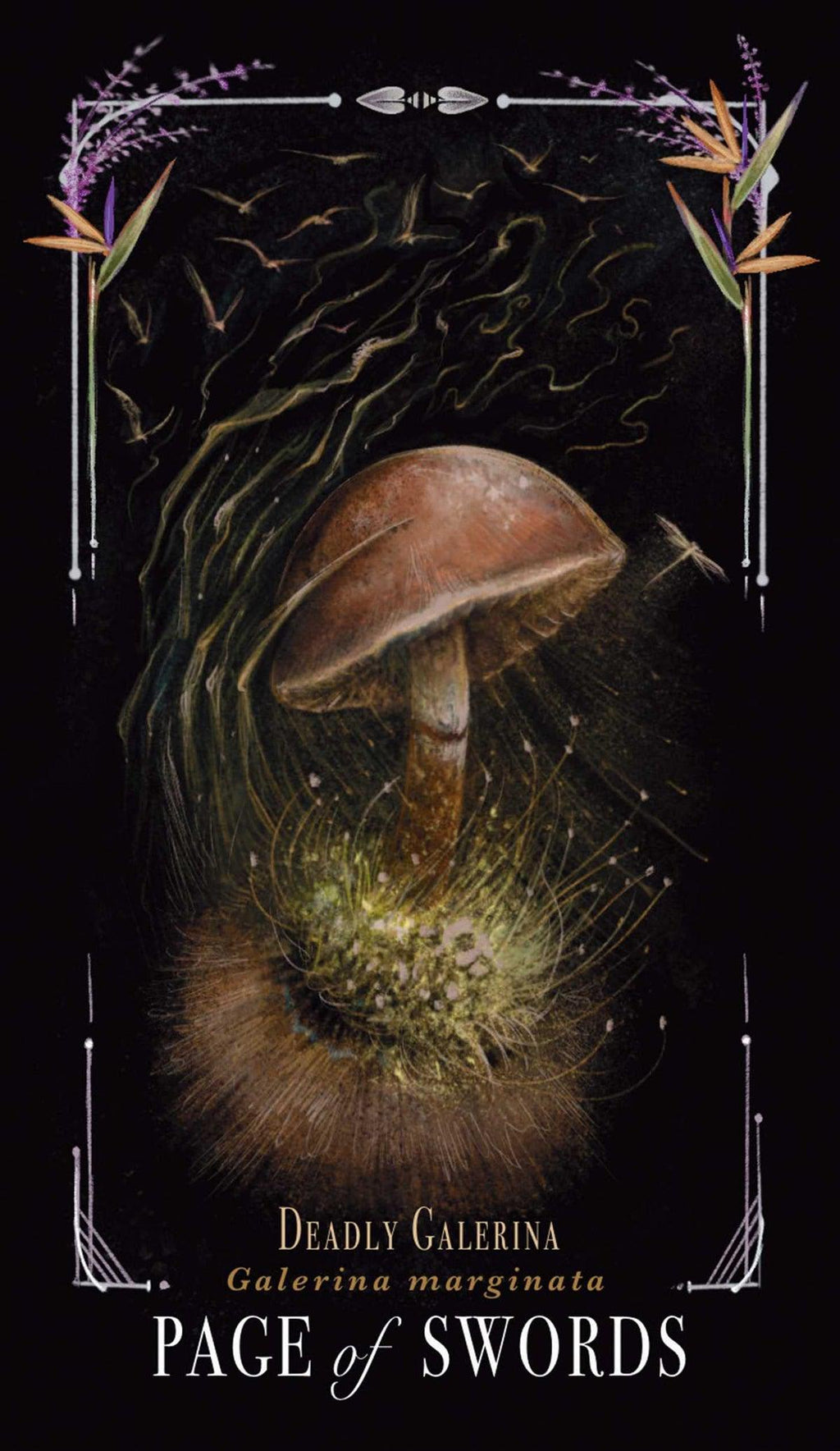 Midnight Magic: A Tarot Deck Of Mushrooms