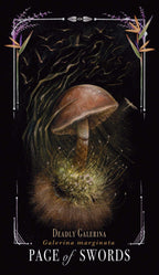 Midnight Magic: A Tarot Deck Of Mushrooms