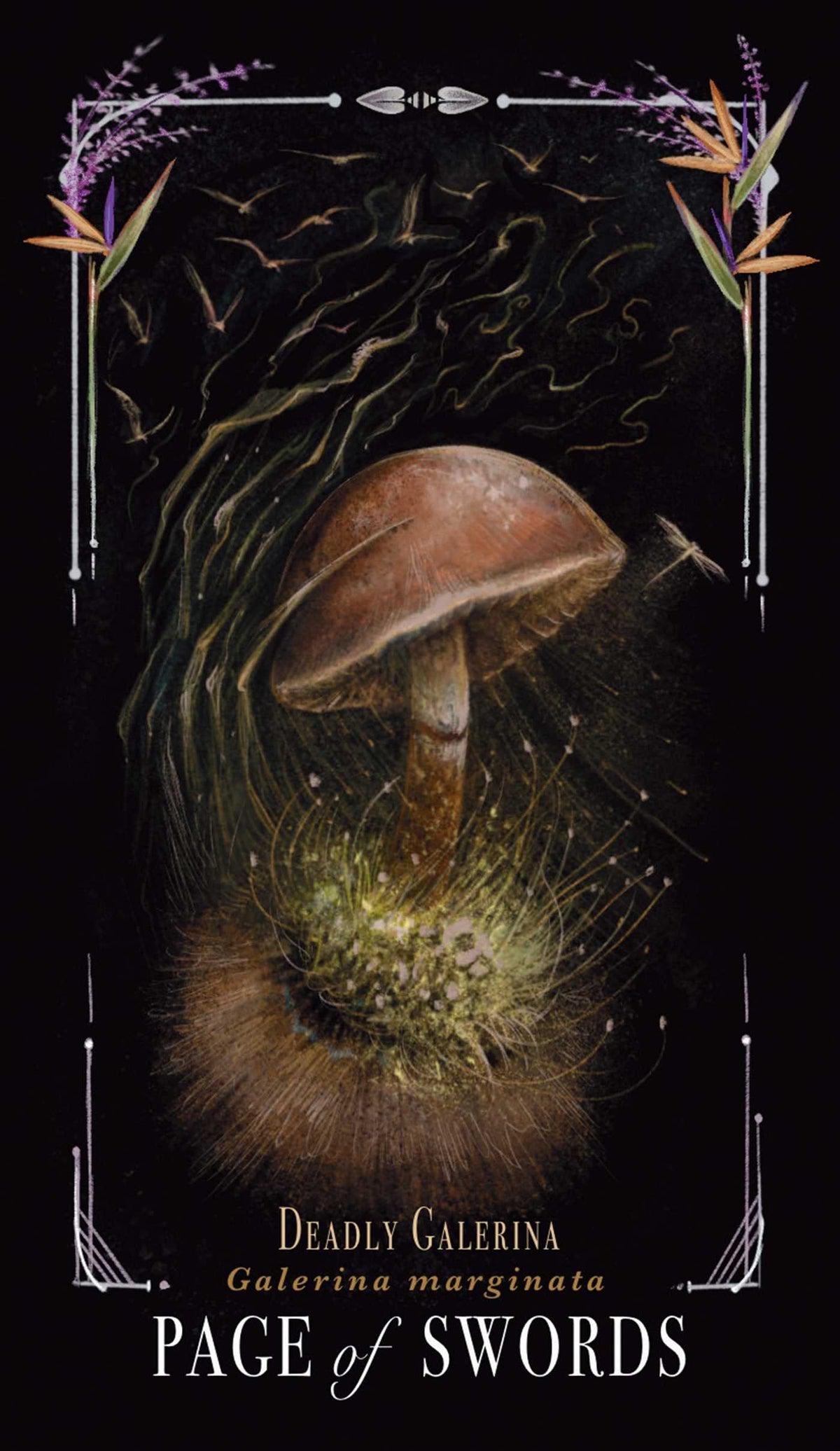 Midnight Magic: A Tarot Deck Of Mushrooms