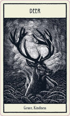 Untamed Spirit Animal Oracle