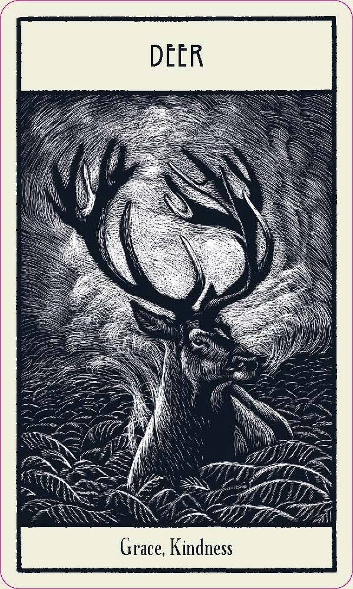 Untamed Spirit Animal Oracle
