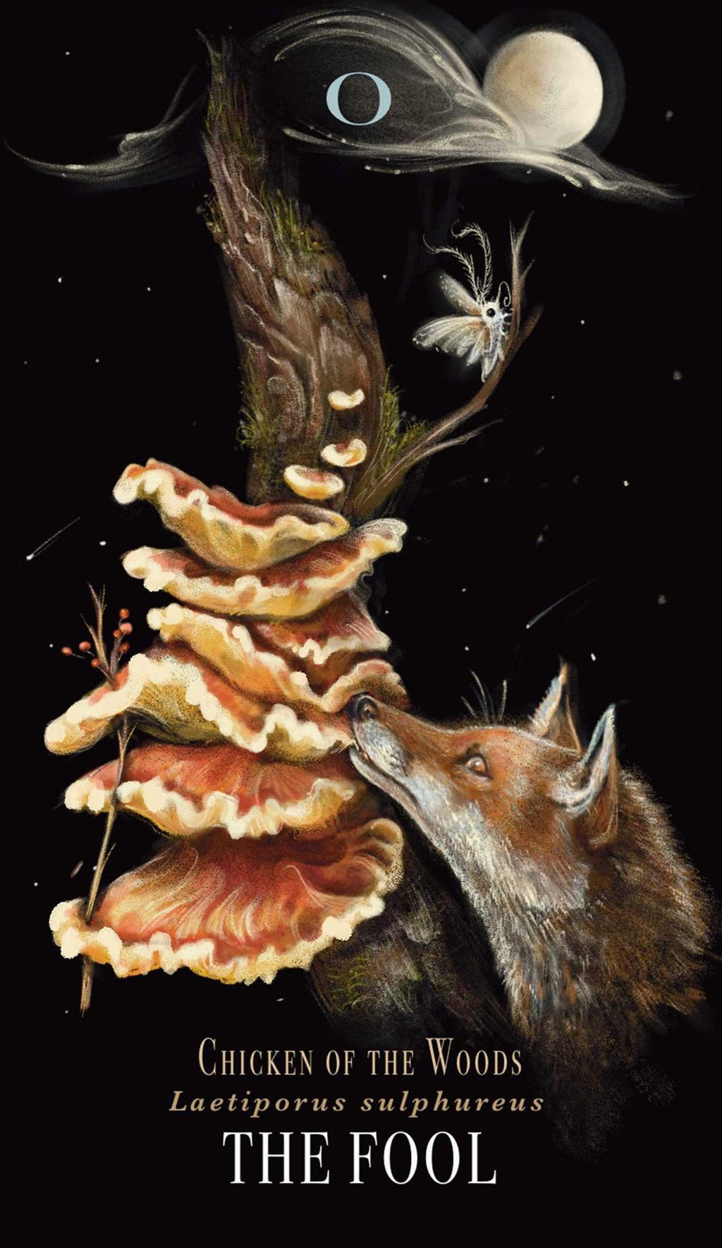Midnight Magic: A Tarot Deck Of Mushrooms