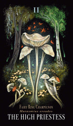 mushroom tarot