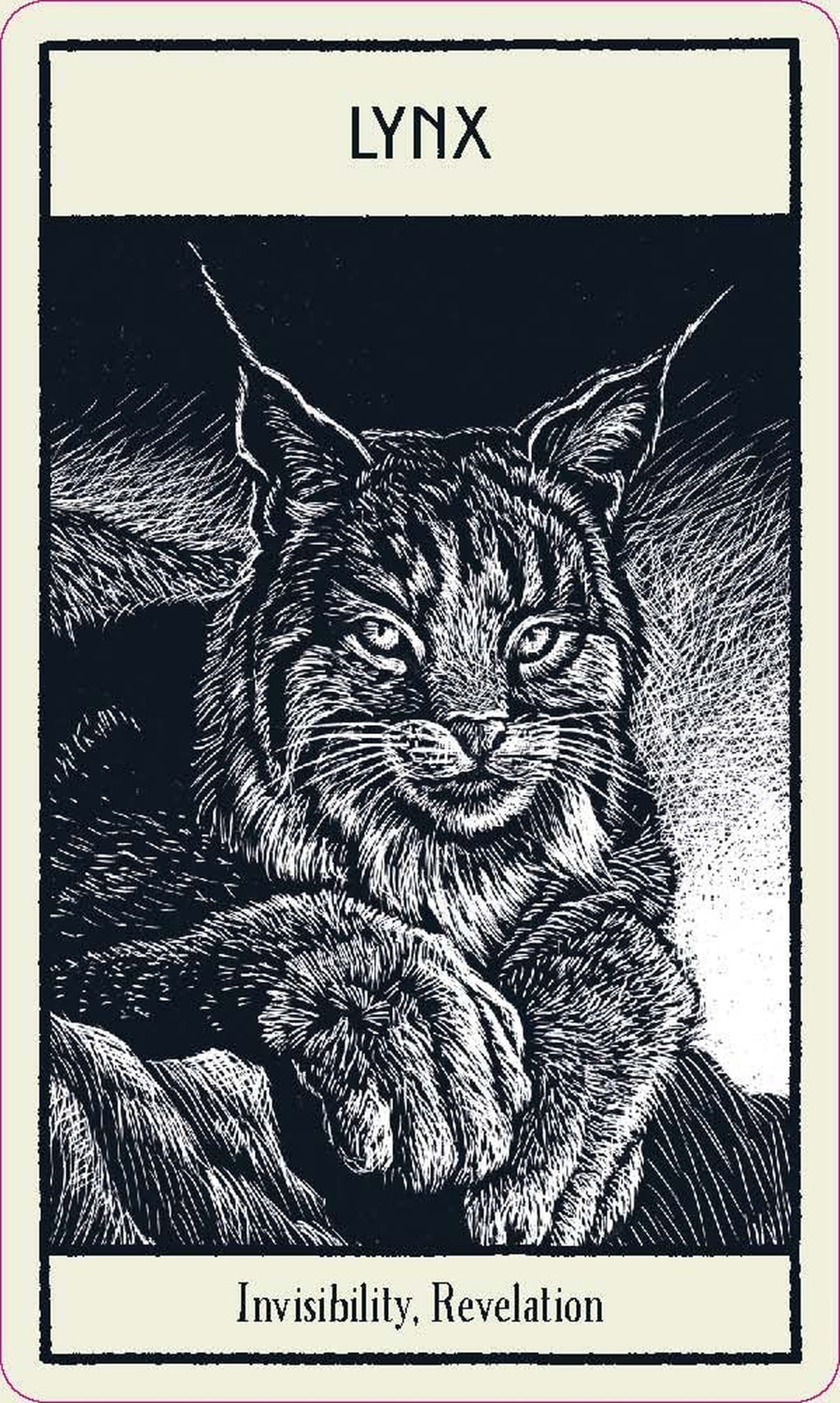 Untamed Spirit Animal Oracle