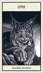 Untamed Spirit Animal Oracle