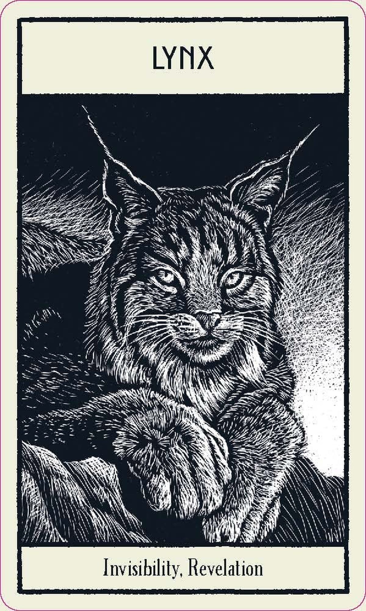 Untamed Spirit Animal Oracle