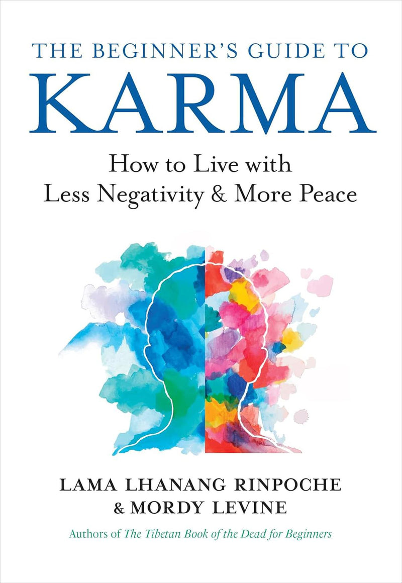 The Beginner's Guide To Karma