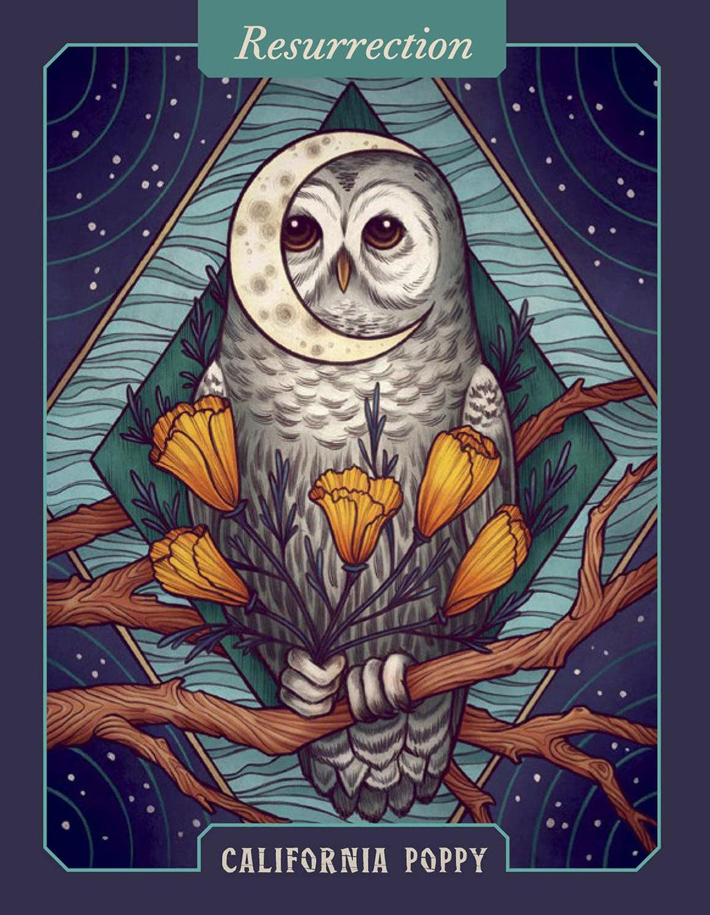 The Illustrated Herbiary