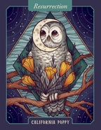 The Illustrated Herbiary