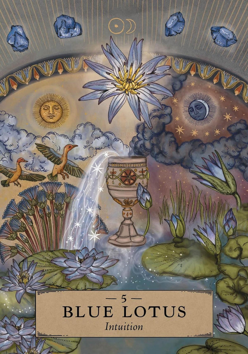 The Herbal Astrology Pocket Edition