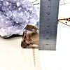 Smoky Rutile Quartz Crystal