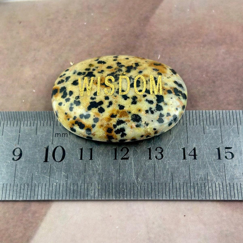 Dalmation Jasper Palm Stone