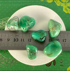 Queensland Chrysoprase Tumble Stone