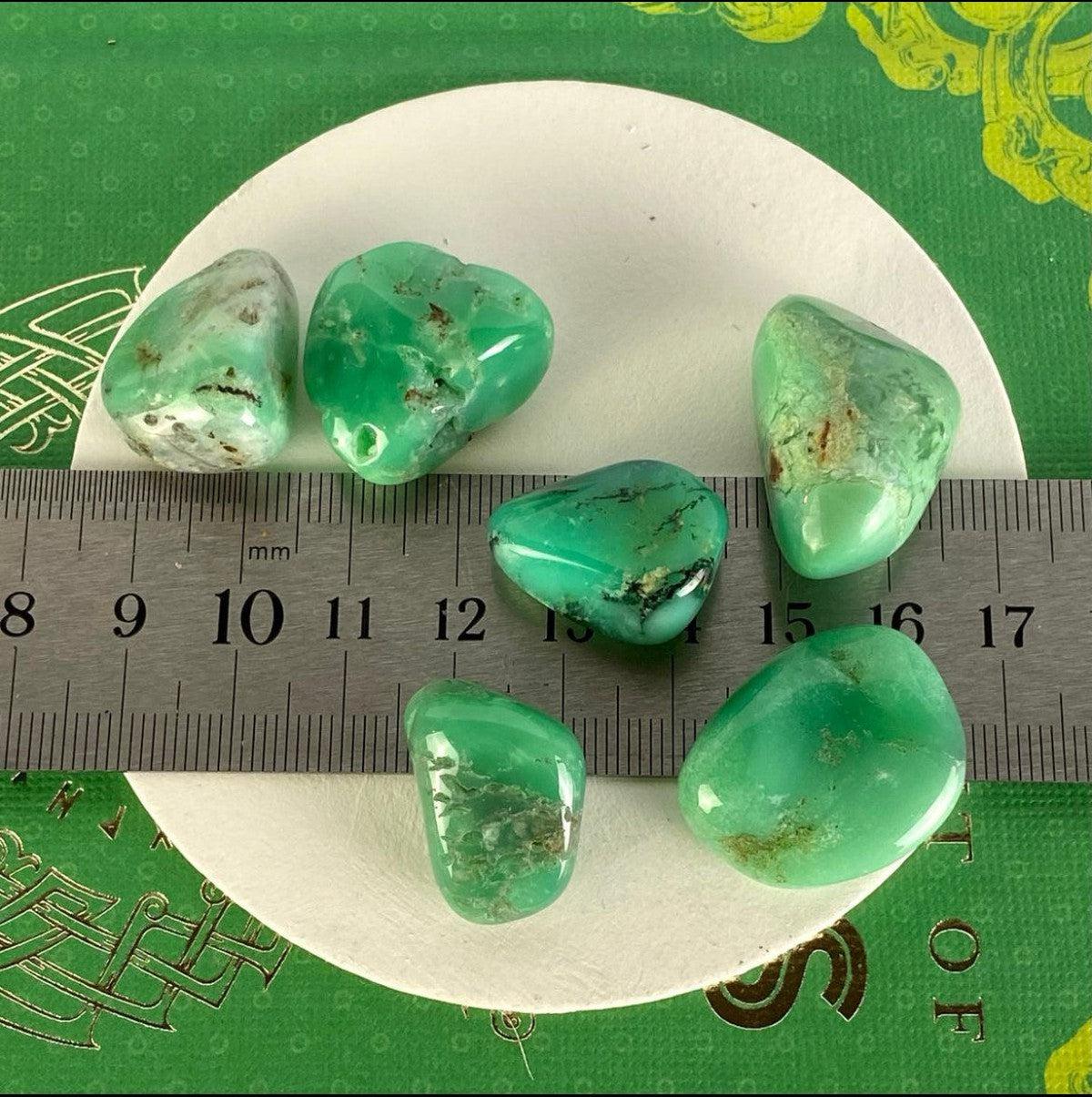Queensland Chrysoprase Tumble Stone