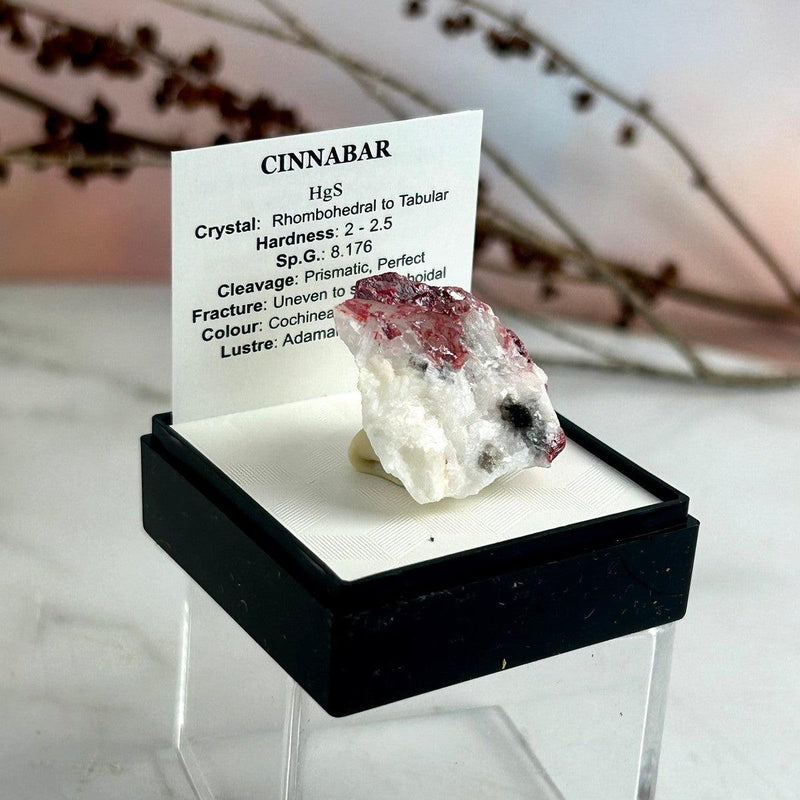 Cinnabar Collectors Sample