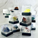 Crystal Collectors Specimens Australia