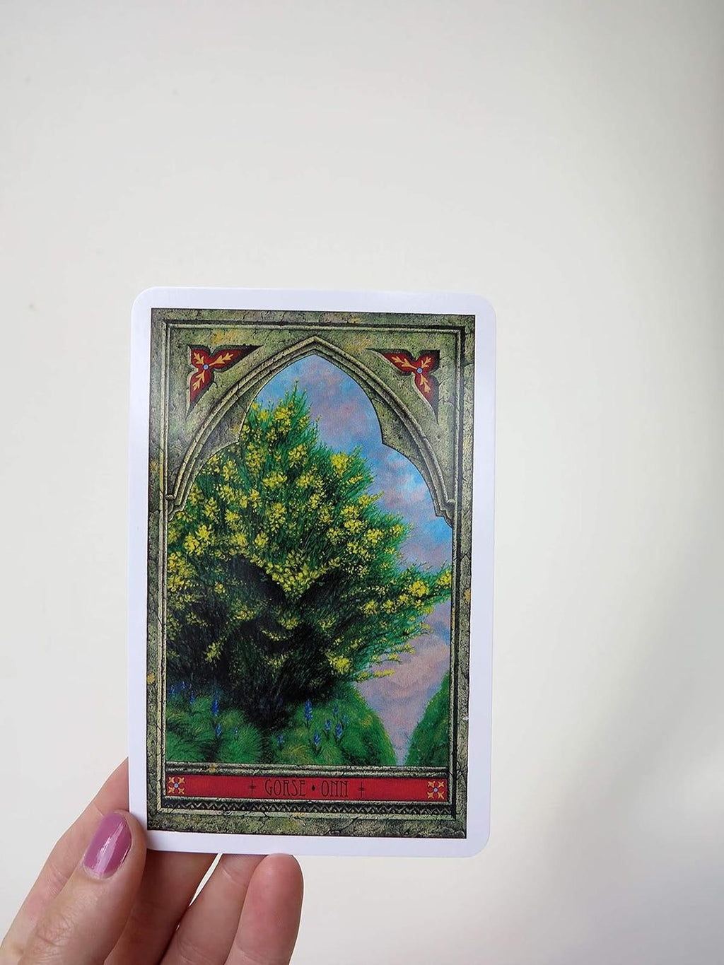 The Spirit Of Nature Oracle