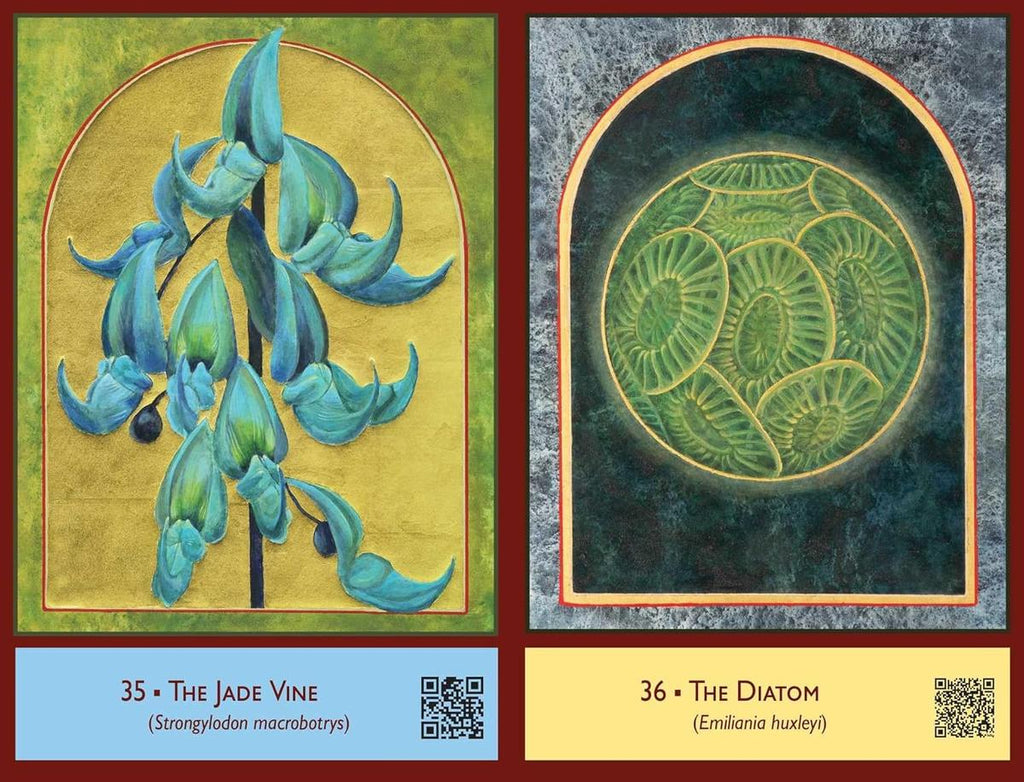 The Sacred Biodiversity Oracle