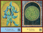 The Sacred Biodiversity Oracle
