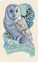 Dreamscape Oracle