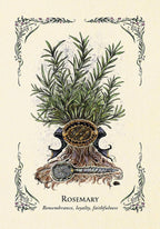 The Green Witch's Oracle Deck
