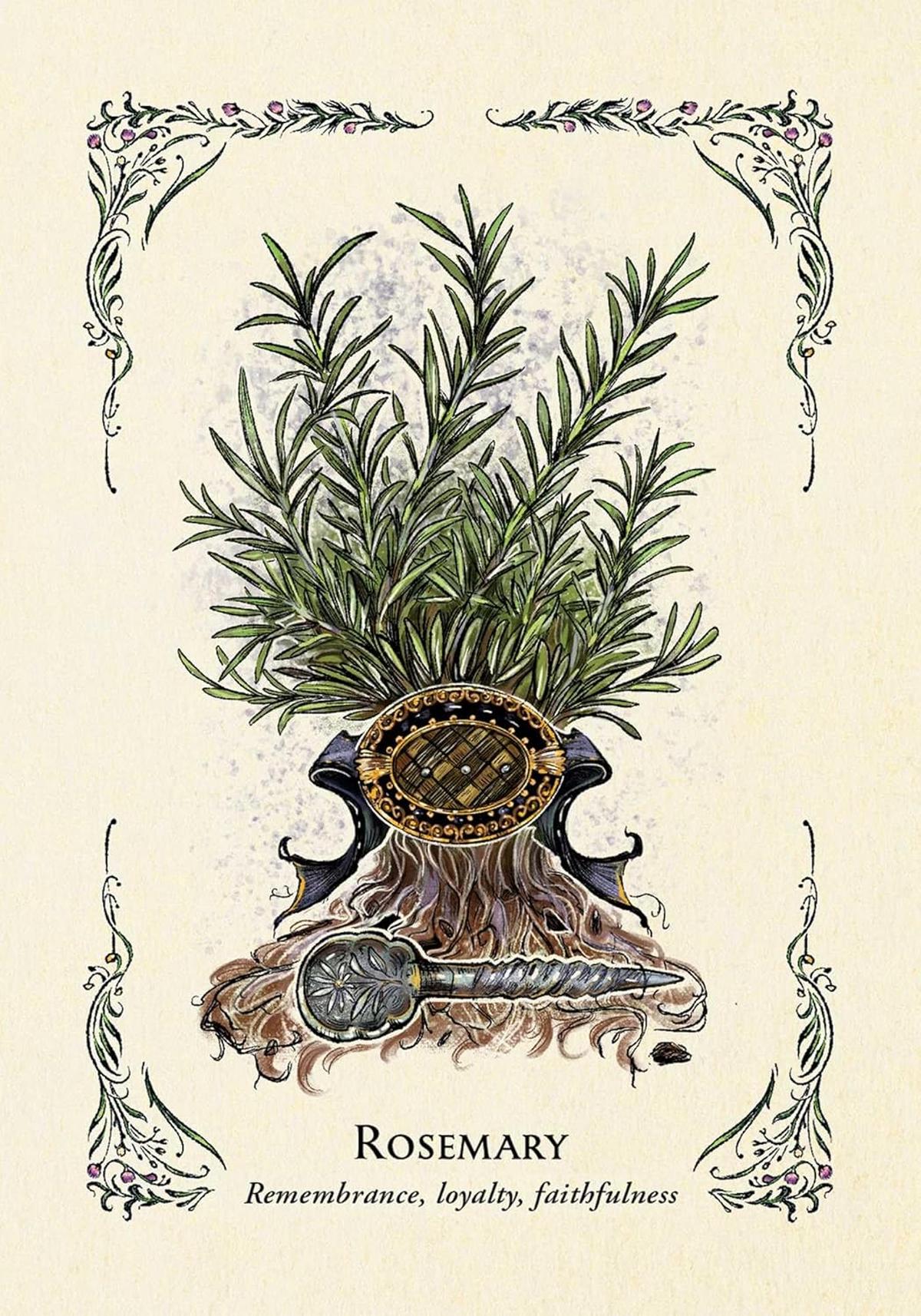 The Green Witch's Oracle Deck