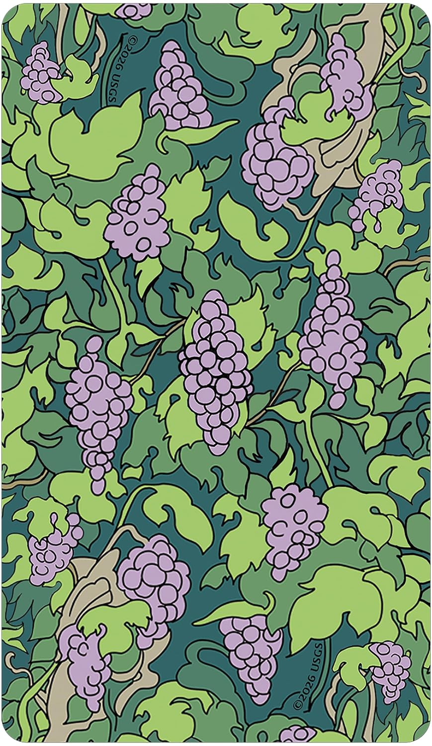 Florana Tarot